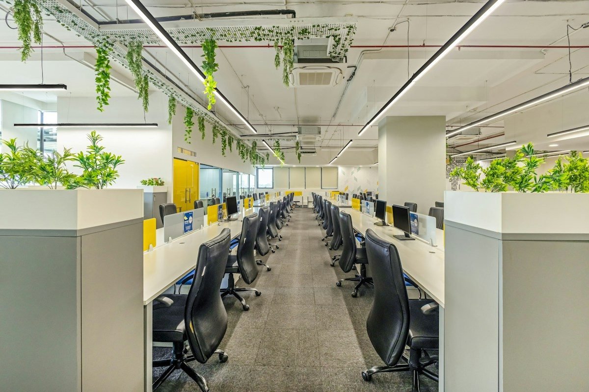 Contemporary office interior with workstations and suspended greenery